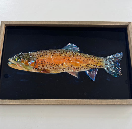 Rainbow Trout