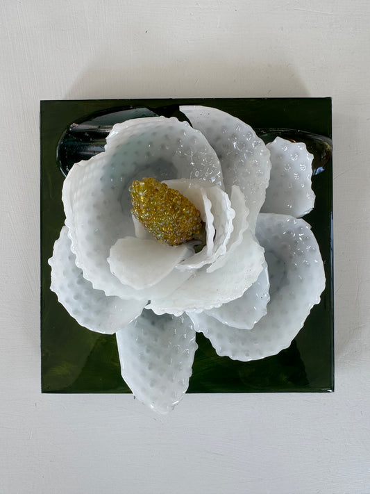 Sweet Magnolia