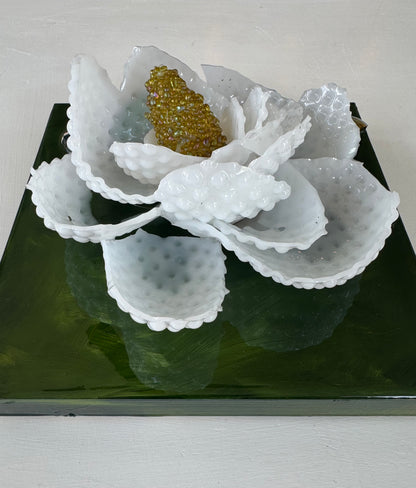 Sweet Magnolia